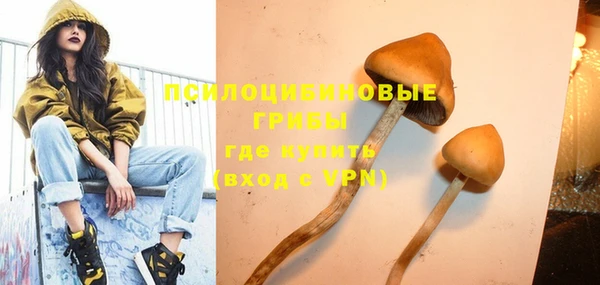 прущие крисы Верхний Тагил