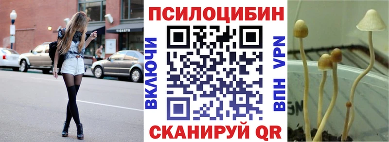 Галлюциногенные грибы Psilocybe  Осташков 